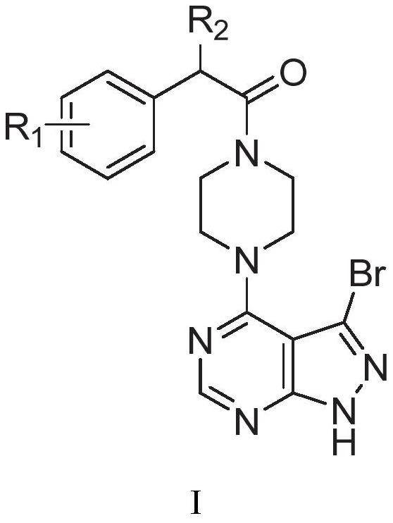 Pyrazolopyrimidine piperazinone compounds as well as preparation method and application thereof