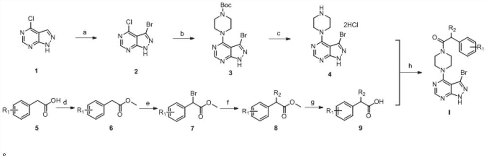 Pyrazolopyrimidine piperazinone compounds as well as preparation method and application thereof