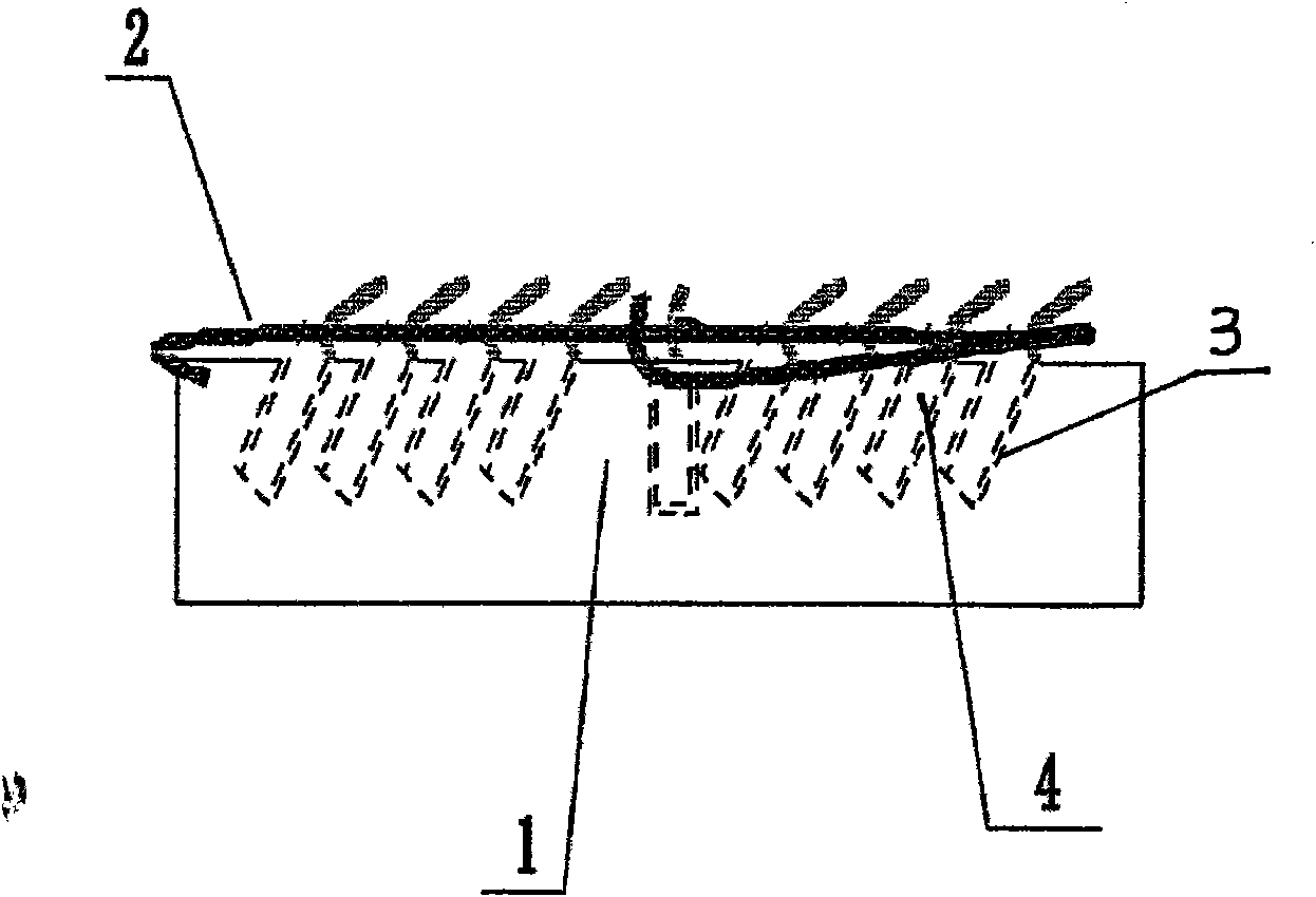 Device for displaying small-size caption-pattern fireworks