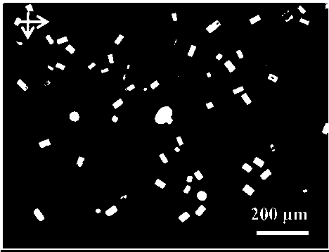 Anisotropic cesium-lead-chlorine perovskite micron sheet and preparation method thereof