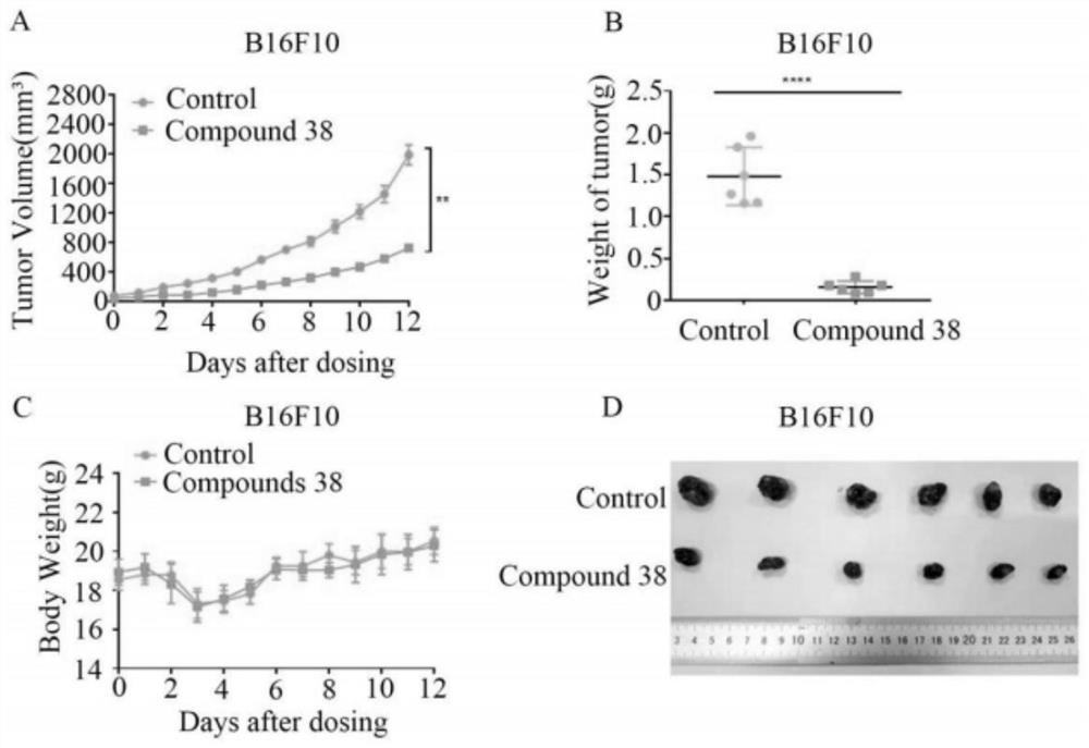 A kind of diterpene derivative and its preparation method, pharmaceutical composition and application