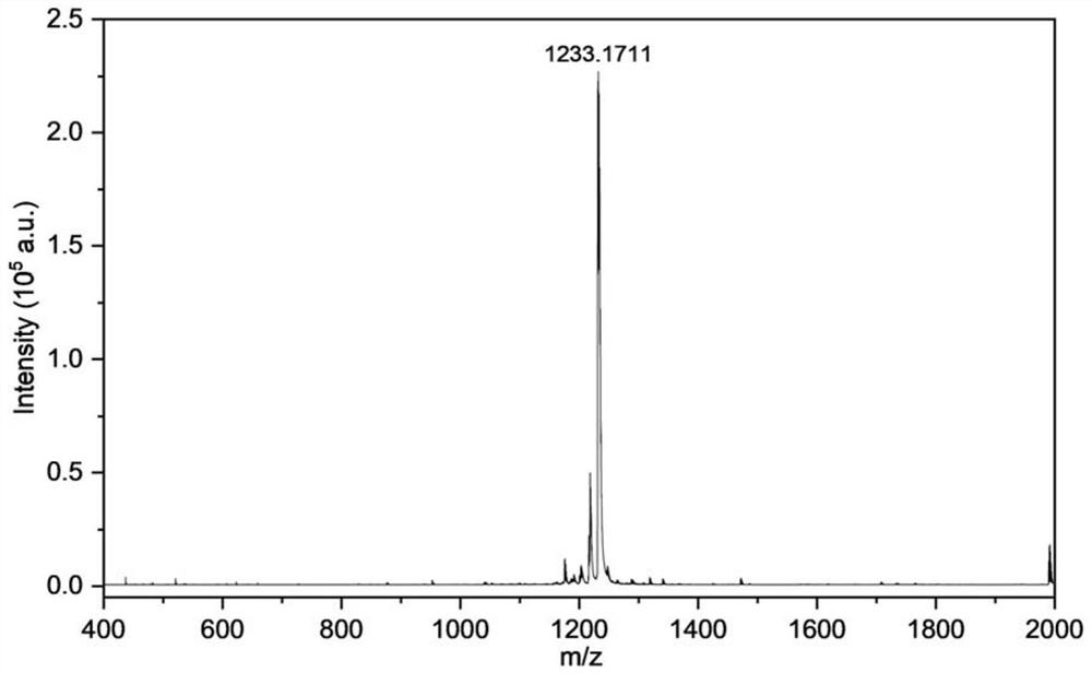 Near-infrared second region conjugated nanoparticles and preparation method and application thereof