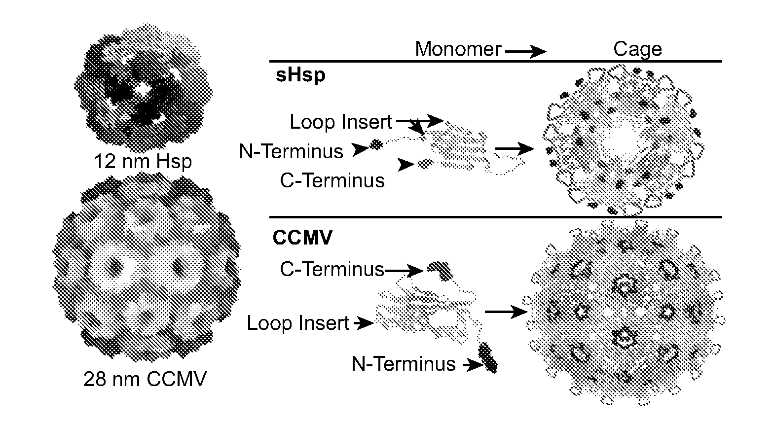 Novel nanoparticles and use thereof