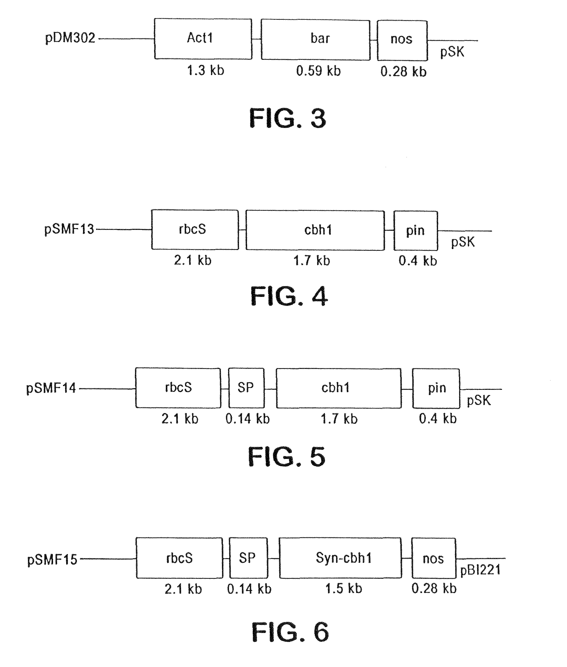 Transgenic cover plants containing hemicellulase and cellulase which degrade lignin and cellulose to fermentable sugars