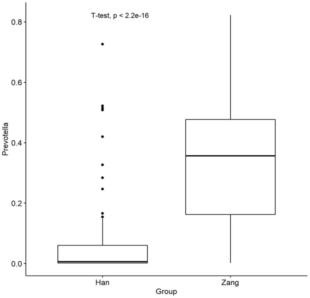 Use of Prevotella spp. in identifying and/or differentiating individuals of different ethnic groups