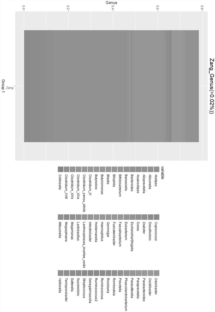 Use of Prevotella spp. in identifying and/or differentiating individuals of different ethnic groups