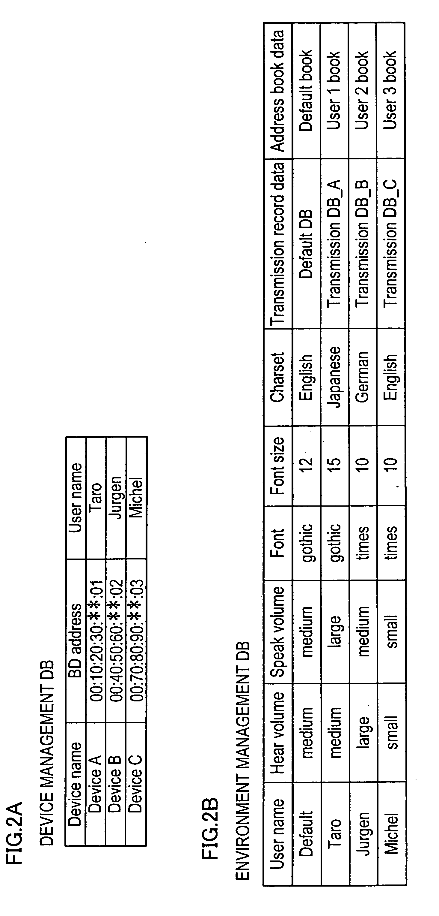 Environment setup system, electronic apparatus, radio communication terminal, program