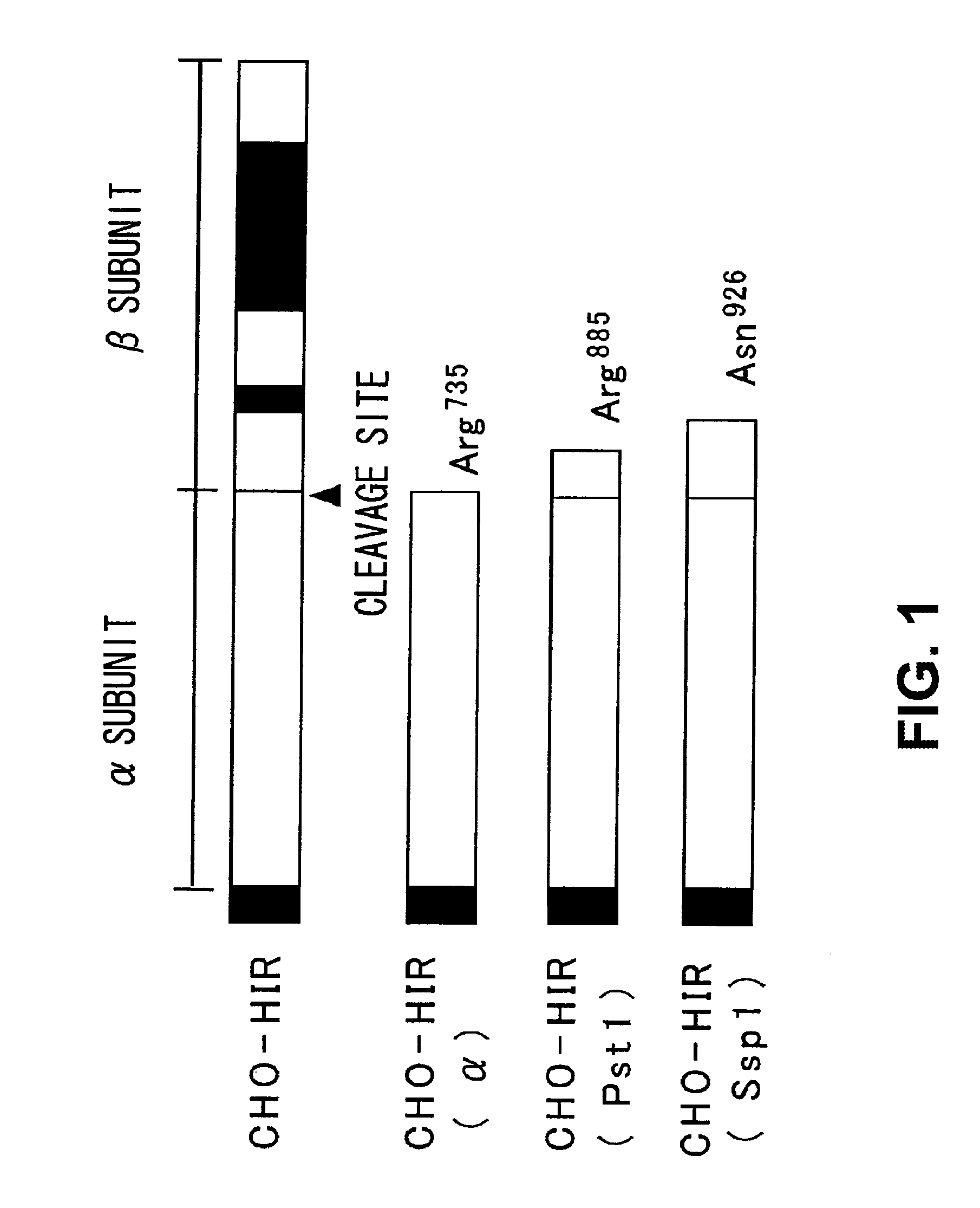 Methods for measuring the insulin receptor alpha subunit