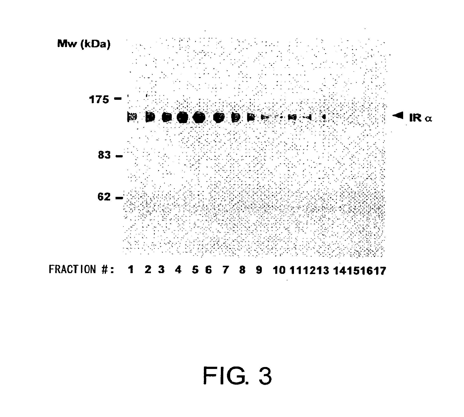 Methods for measuring the insulin receptor alpha subunit