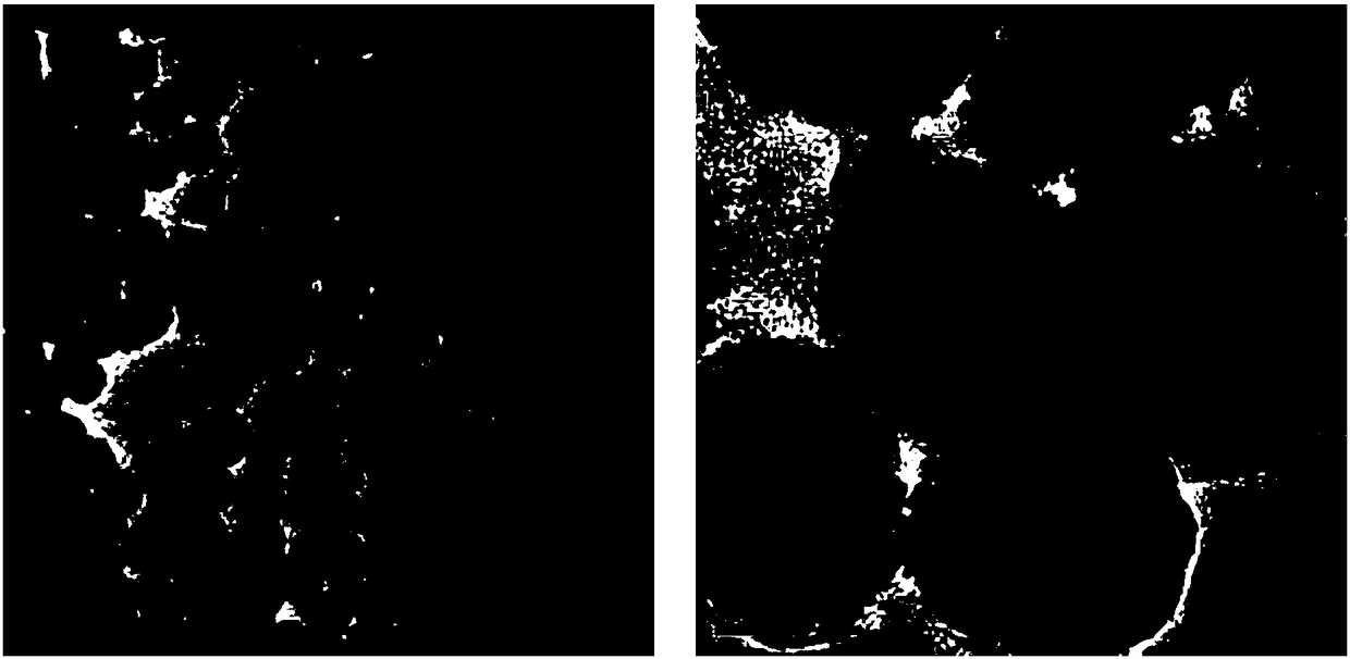 Magnetic nanomaterials based on inorganic boronic acid modification and its preparation method and application