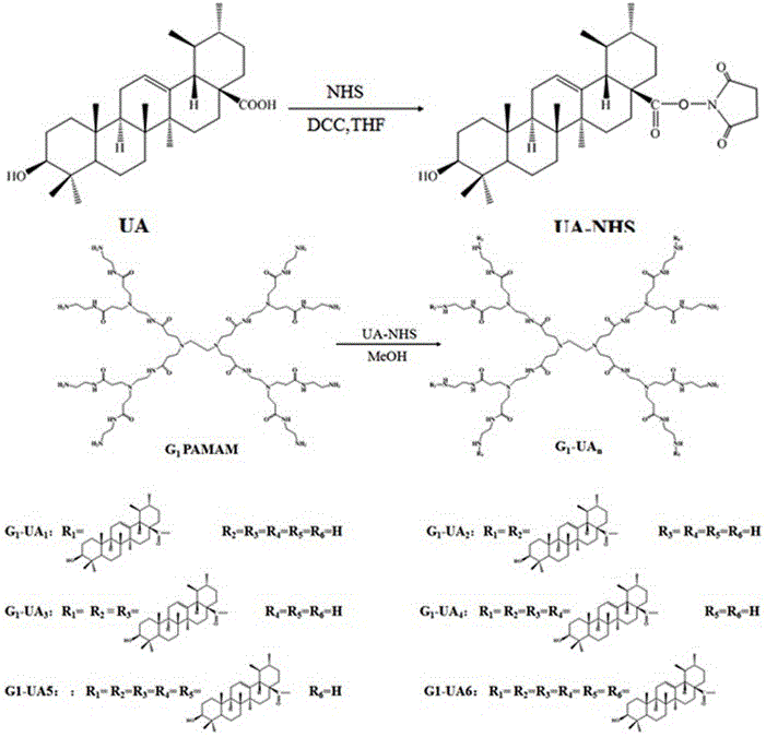 Amphiphilic self-assembled nanomicelle based on nano Low-generation PAMAM (polyamidoamine) dendrimer and application thereof