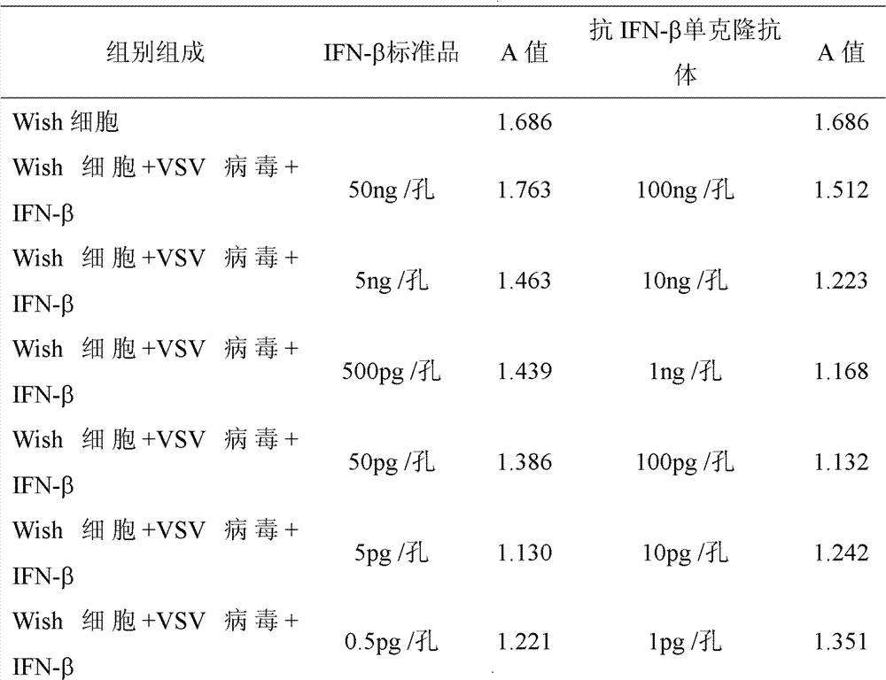 Anti-beta-interferon monoclonal antibody and its application