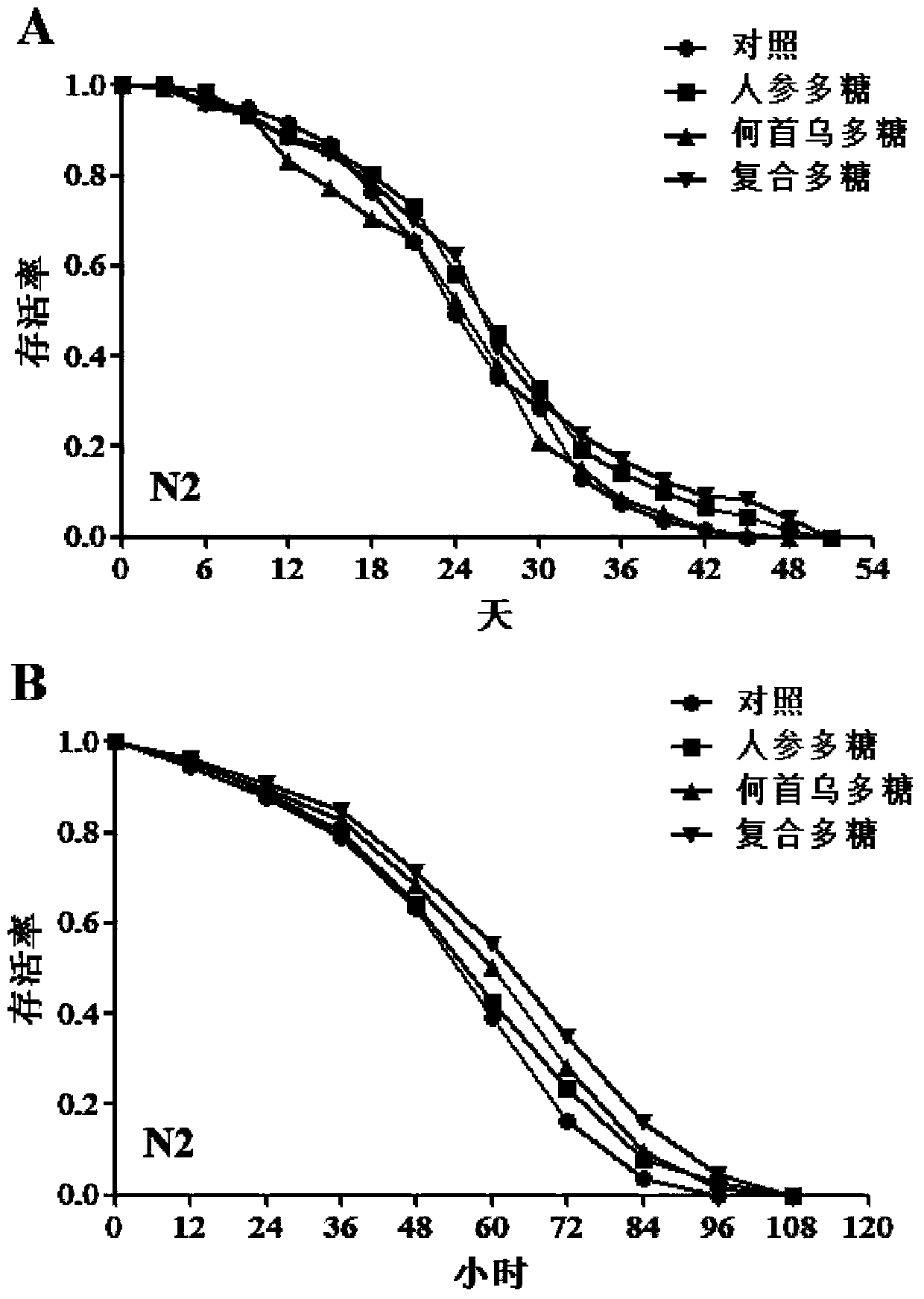 Application of ginseng and polygonum multiflorum compound polysaccharide in preparation of health foods with anti-aging effect