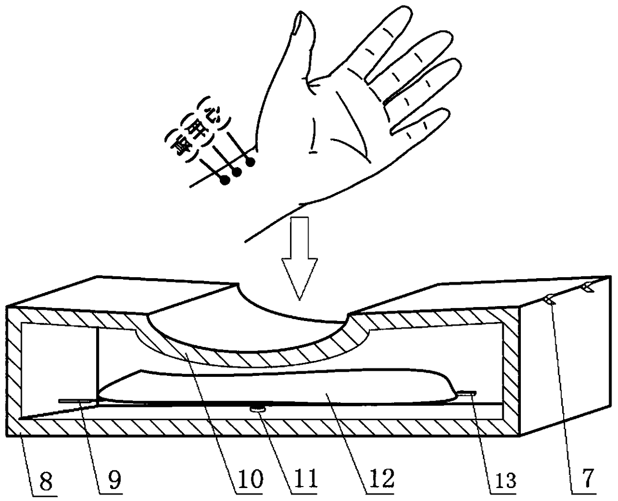 Portable automatic pulse condition detection system