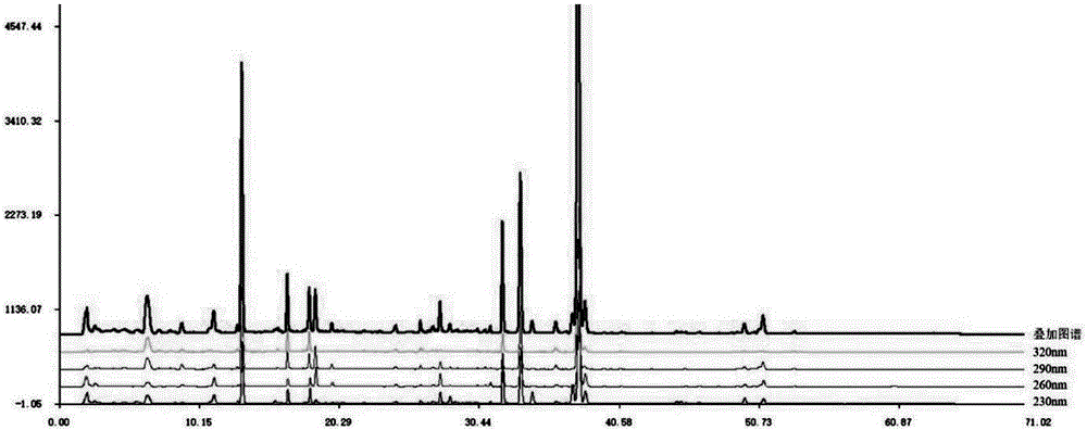 Method for establishing and applying full-time multi-wavelength overlay fingerprint spectrum of rhizoma chuanxiong decoction pieces