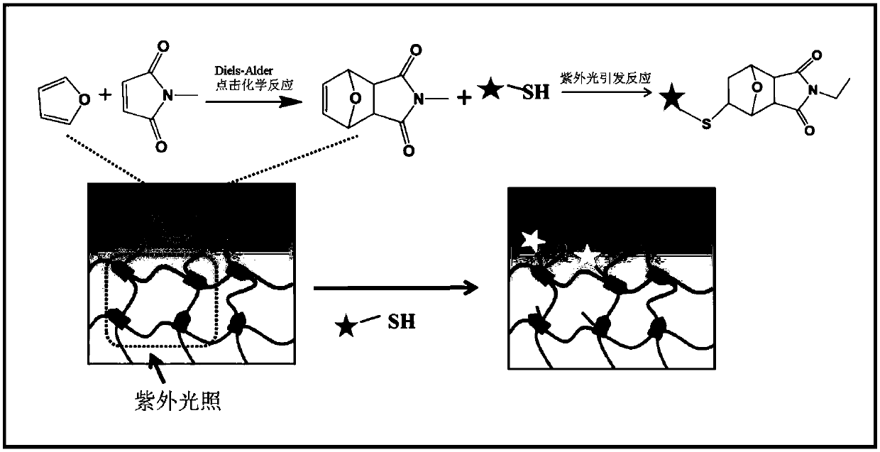 Antibacterial gel covalently grafted antibacterial polypeptide and preparation method thereof