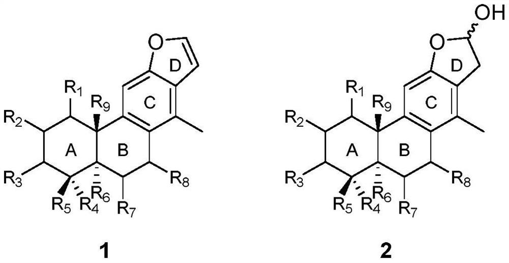 Vokapalane-type diterpene derivative, preparation method and application thereof