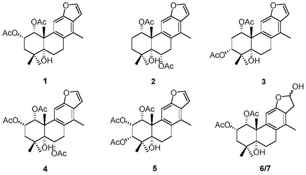 Vokapalane-type diterpene derivative, preparation method and application thereof