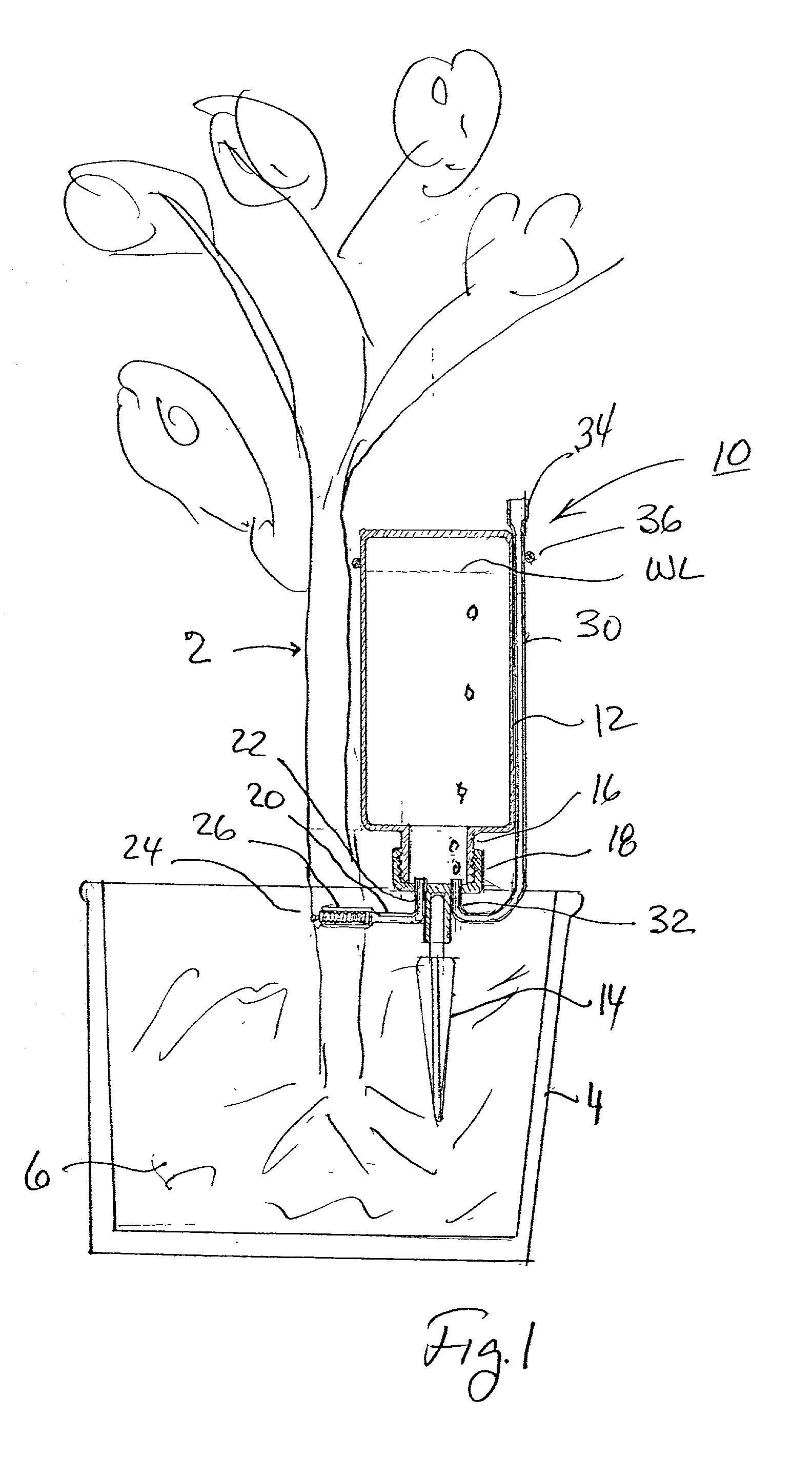 Liquid dispensing devices particularly useful for irrigating plants