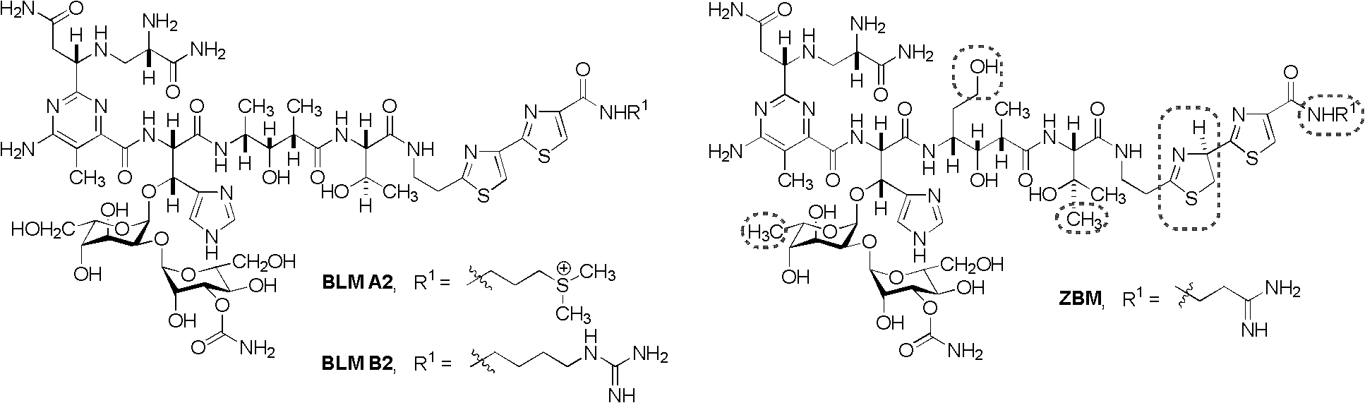 Bleomycin derivatives and anti-tumour activity thereof