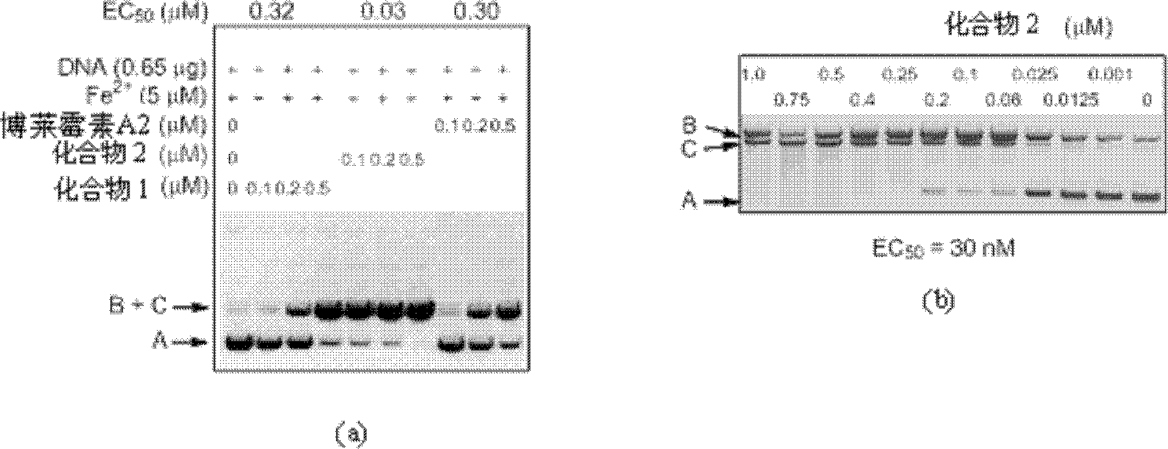 Bleomycin derivatives and anti-tumour activity thereof