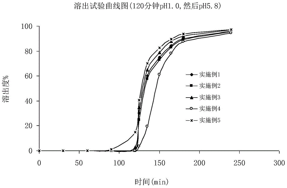 Fidaxomicin enteric-coated preparation