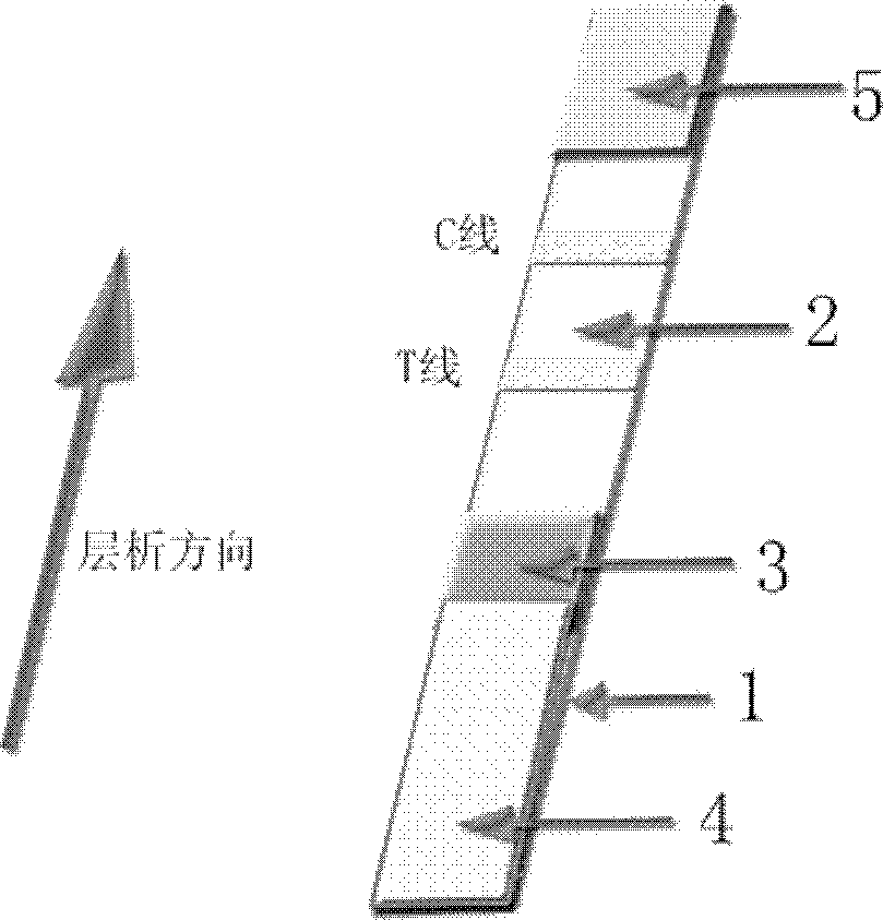 Method for quantitative detection of zearalenone