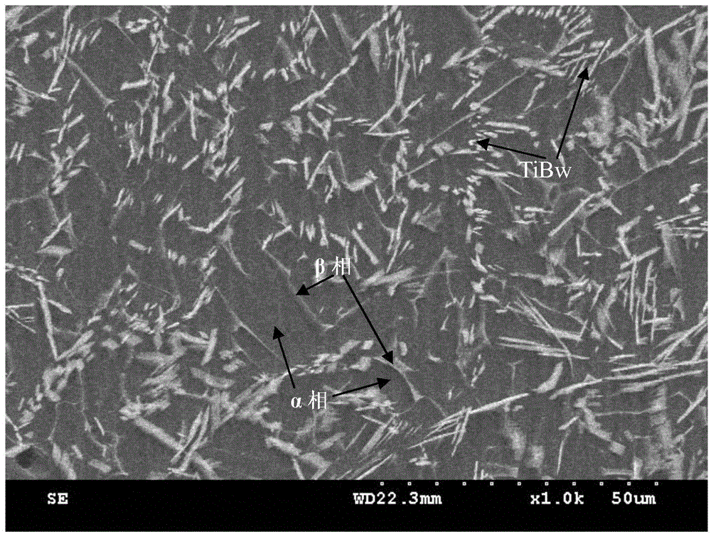 Improvement method for titanium alloy laser 3D printing