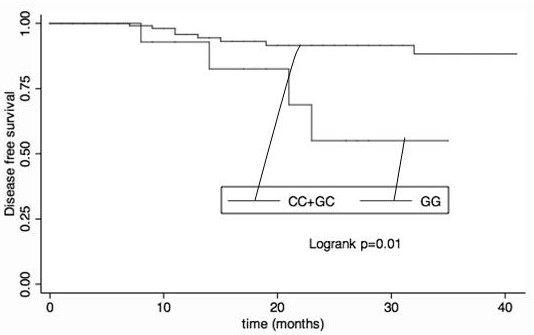 The use of pdl1 SNP genotype as a marker for predicting the efficacy of neoadjuvant chemotherapy in breast cancer