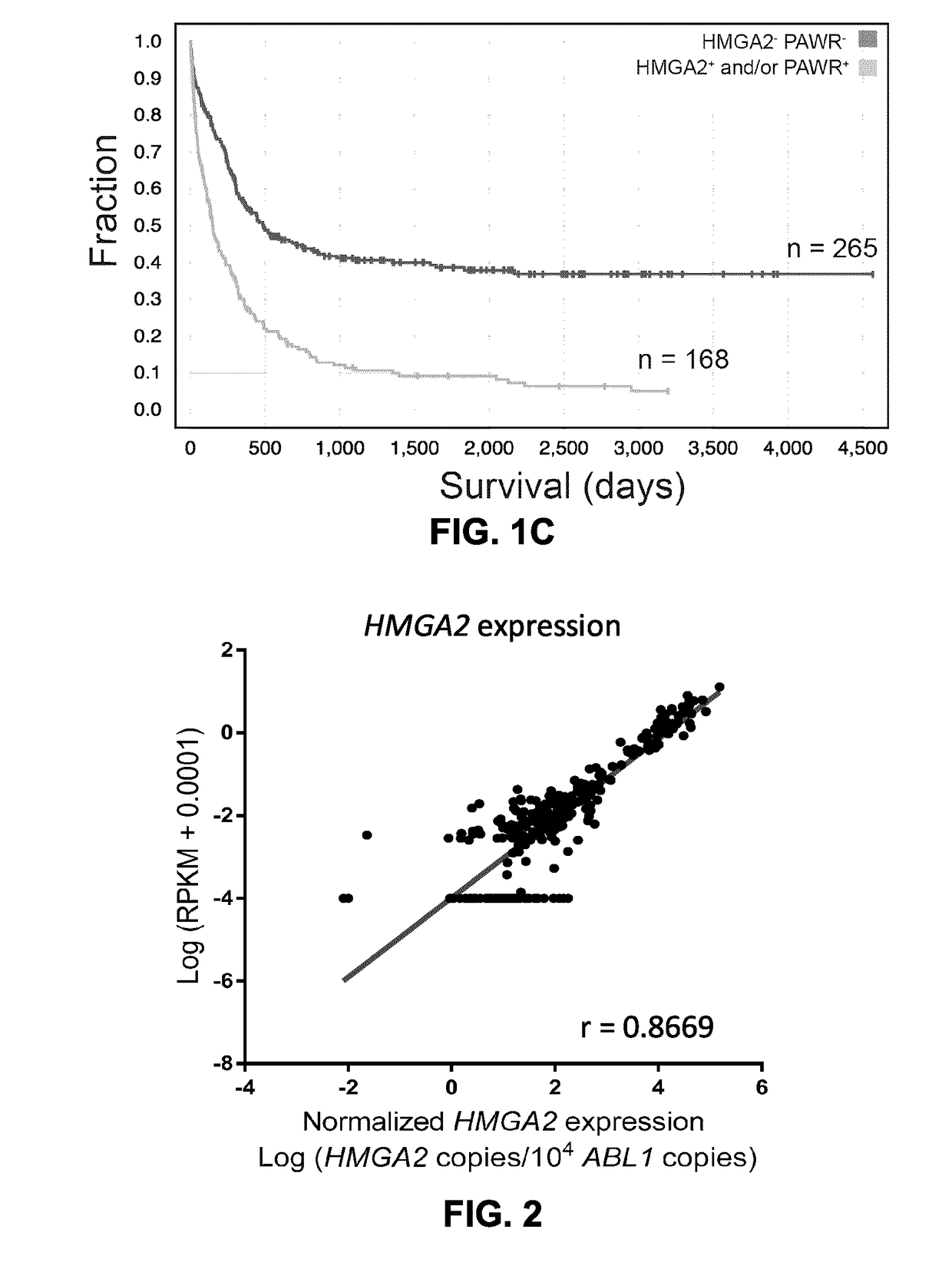 Prognostic markers of acute myeloid leukemia survival