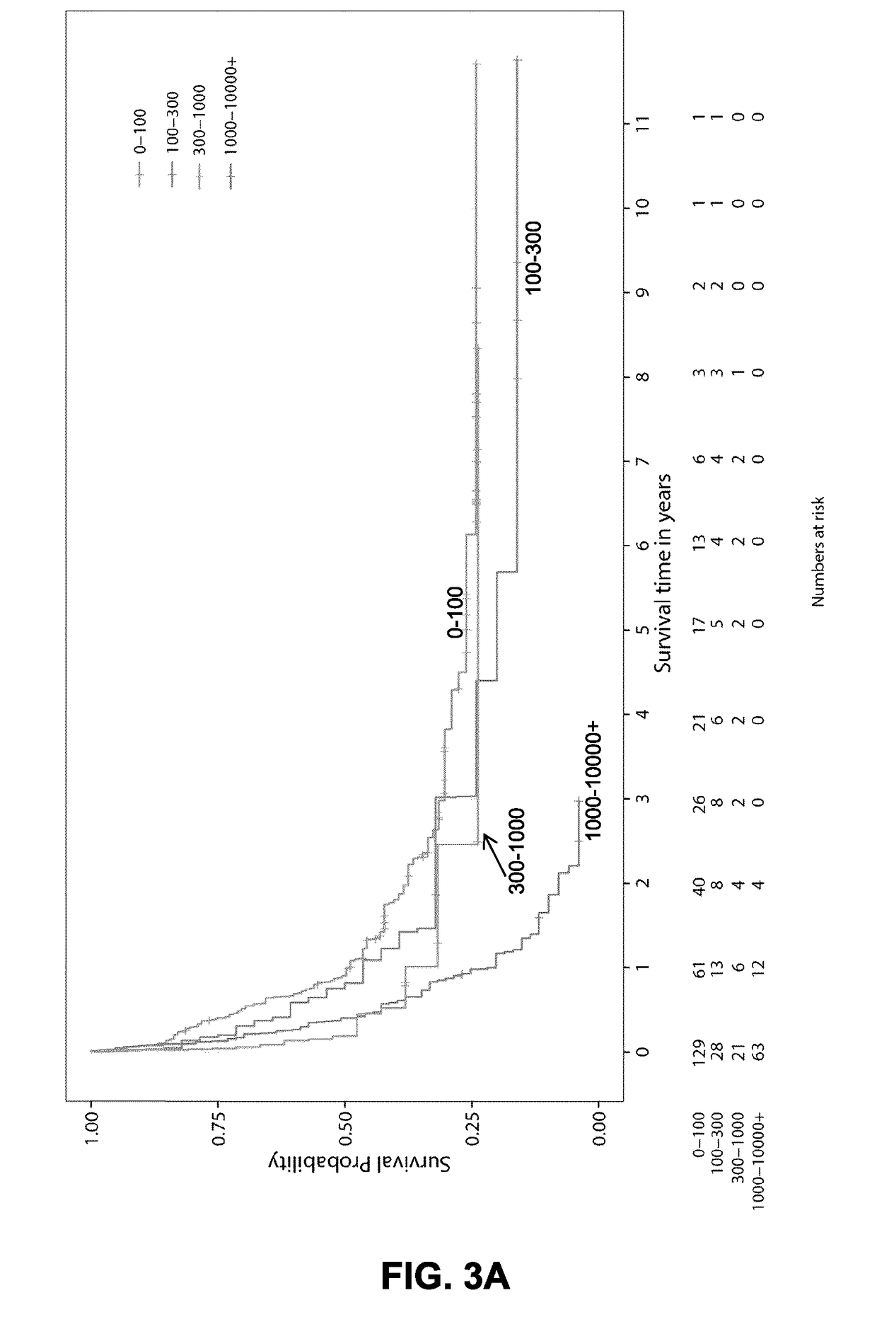 Prognostic markers of acute myeloid leukemia survival