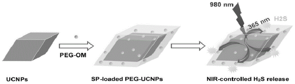 Composite nanoparticle for controlling H2S release by employing near-infrared light as well as preparation method and application of composite nanoparticle