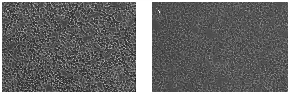 A method to improve the efficiency of patch clamp experiment