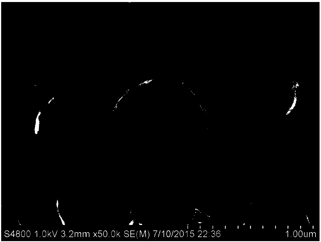 Monodisperse superparamagnetic nano magnetic bead and detection application of benzodiazepine * drugs thereof