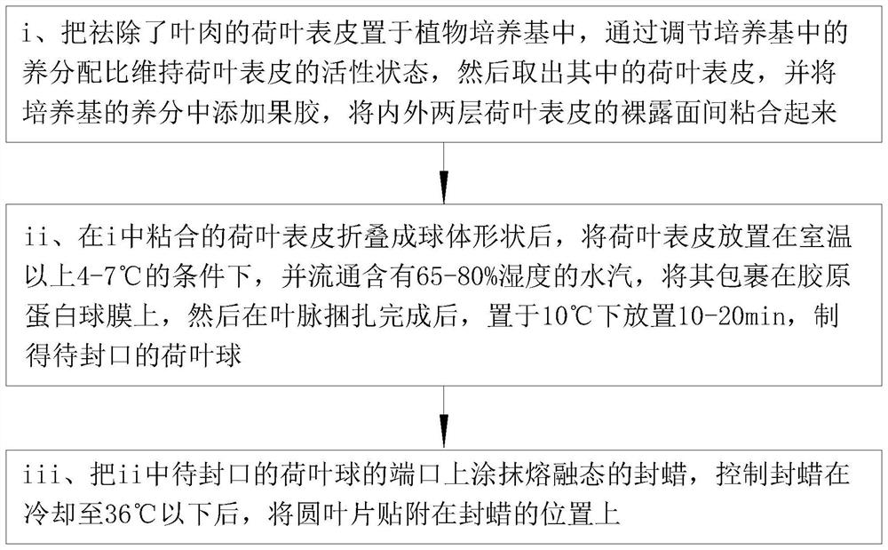 Skin-conditioning skin care product prepared by plant extracts and preparation method of skin care product