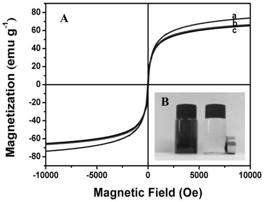 Preparation method of Fe3O4-biochar composite nanomaterial and method for degrading organic pollutants in water body