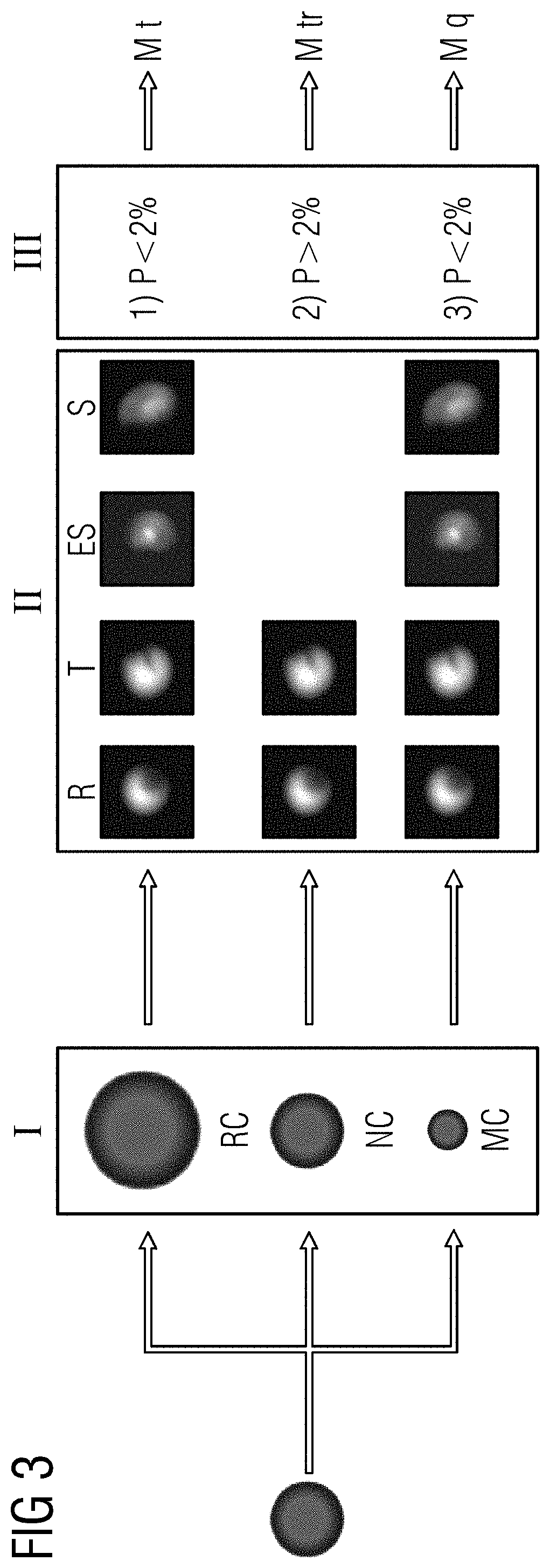 Specific malaria detection with digital holographic microscopy