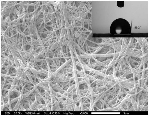 Highly hydrophilic nanofiber coating-based nanofiltration membrane and preparation method thereof