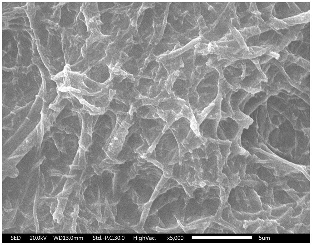 Highly hydrophilic nanofiber coating-based nanofiltration membrane and preparation method thereof