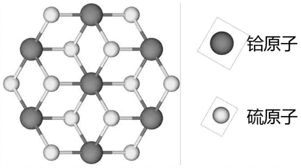 Preparation method of vertically aligned hafnium disulfide nanosheets by chemical vapor deposition