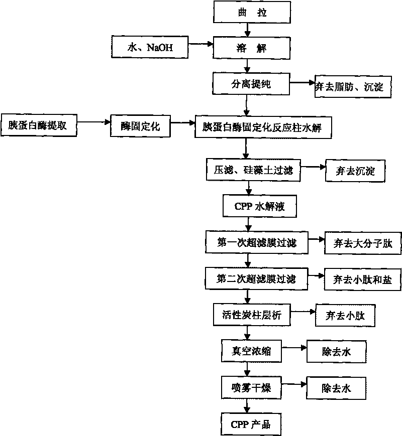 Casein phosphopept continuous production process by adopting immobilized enzyme hydrolysis crude cheese and ultrafiltration membrane separation method