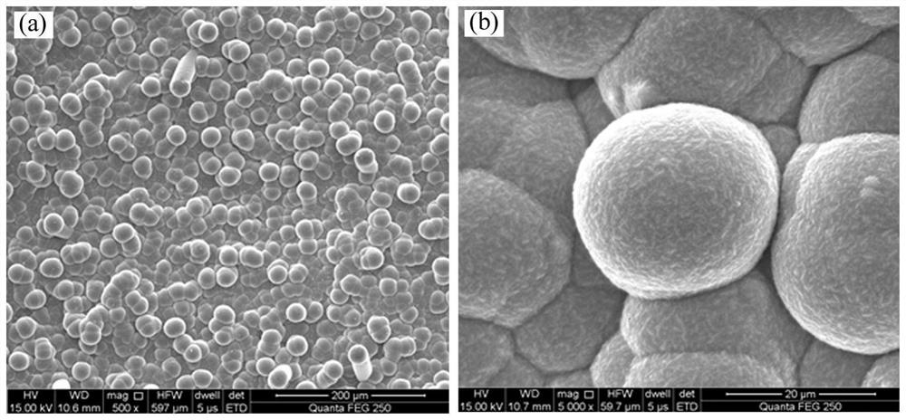 SiC composite coating for porous thermal insulation carbon material and preparation method thereof