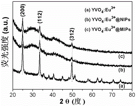 Preparation method of rare earth-doped core-shell fluorescent imprinted polymer