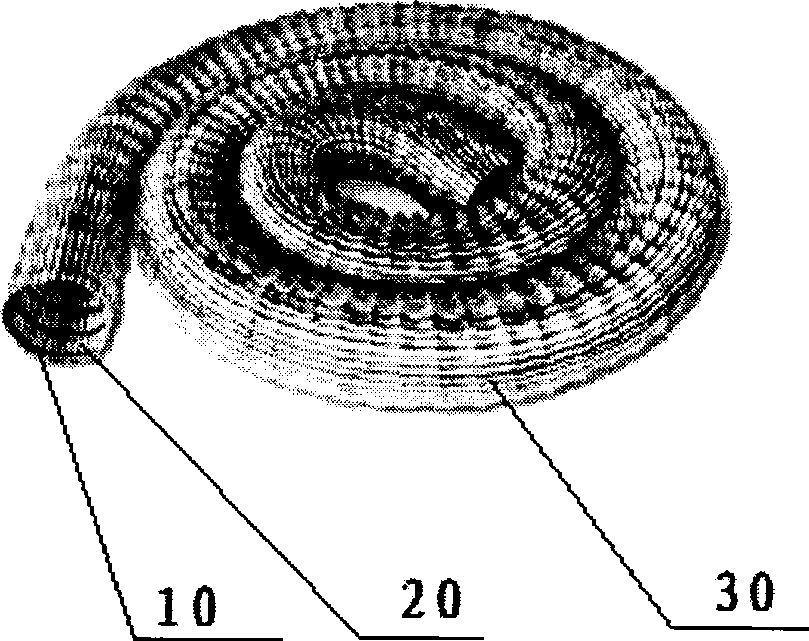 Method for increasing big tree transplanting survival rate using flexible porous tube