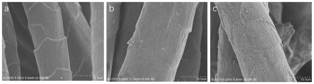 Biological enzymatic dyeing method for improving wool fiber strength