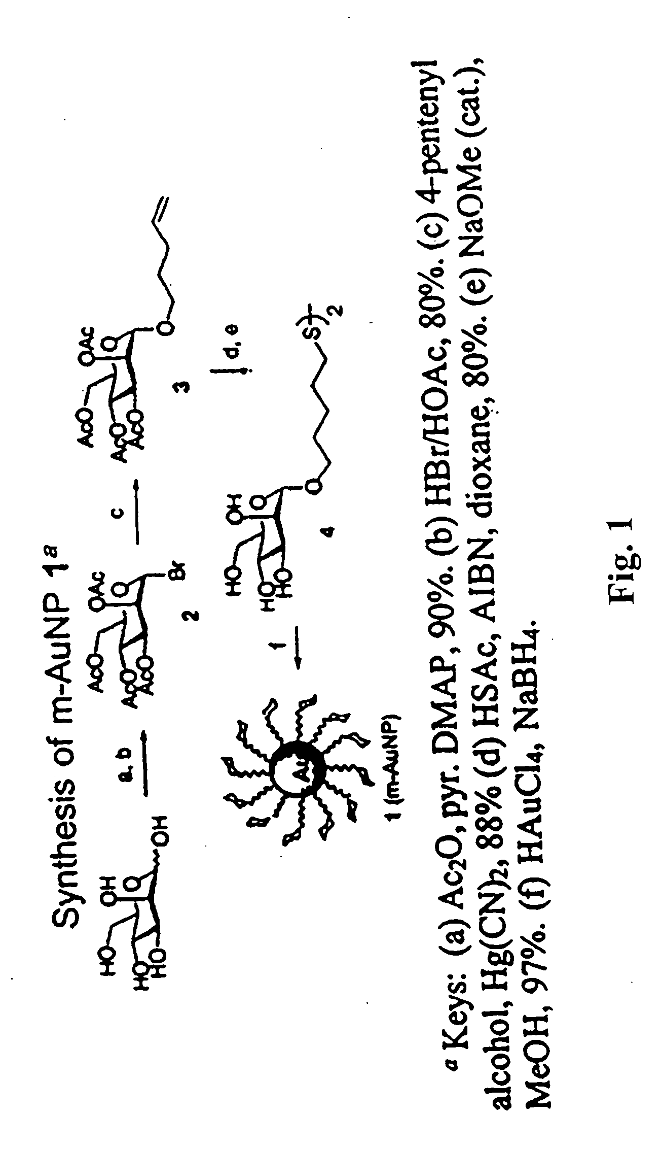 Carbohydrate encapsulated nanoparticles