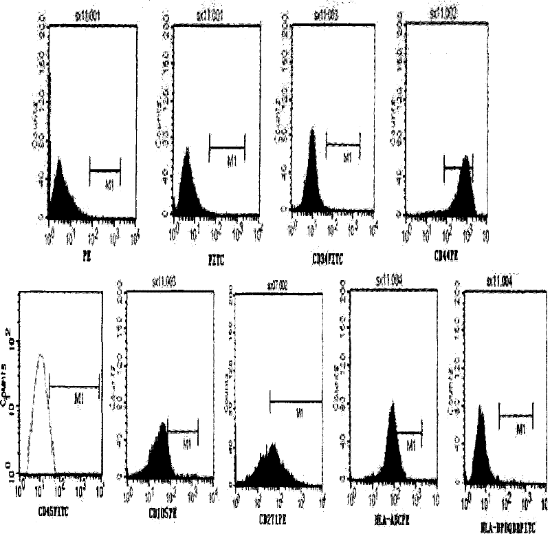 Constructing method of bracket-free engineering cartilaginous tissue and product thereof