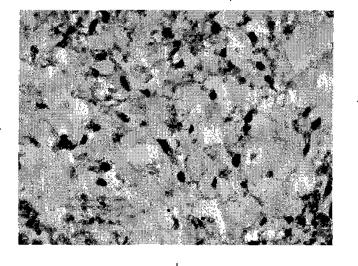 Constructing method of bracket-free engineering cartilaginous tissue and product thereof