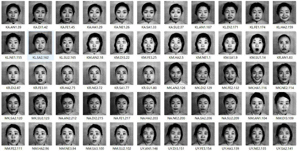 Rapid facial expression recognition method based on ELM self-encoding algorithm