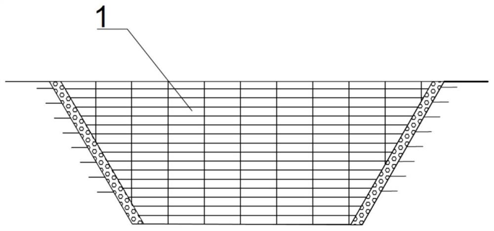 Electrode biofilm device for in-situ nitrogen and phosphorus removal in farmland ditches and its application method